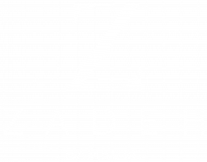 Praxis Zadeh Logo